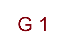 G 1